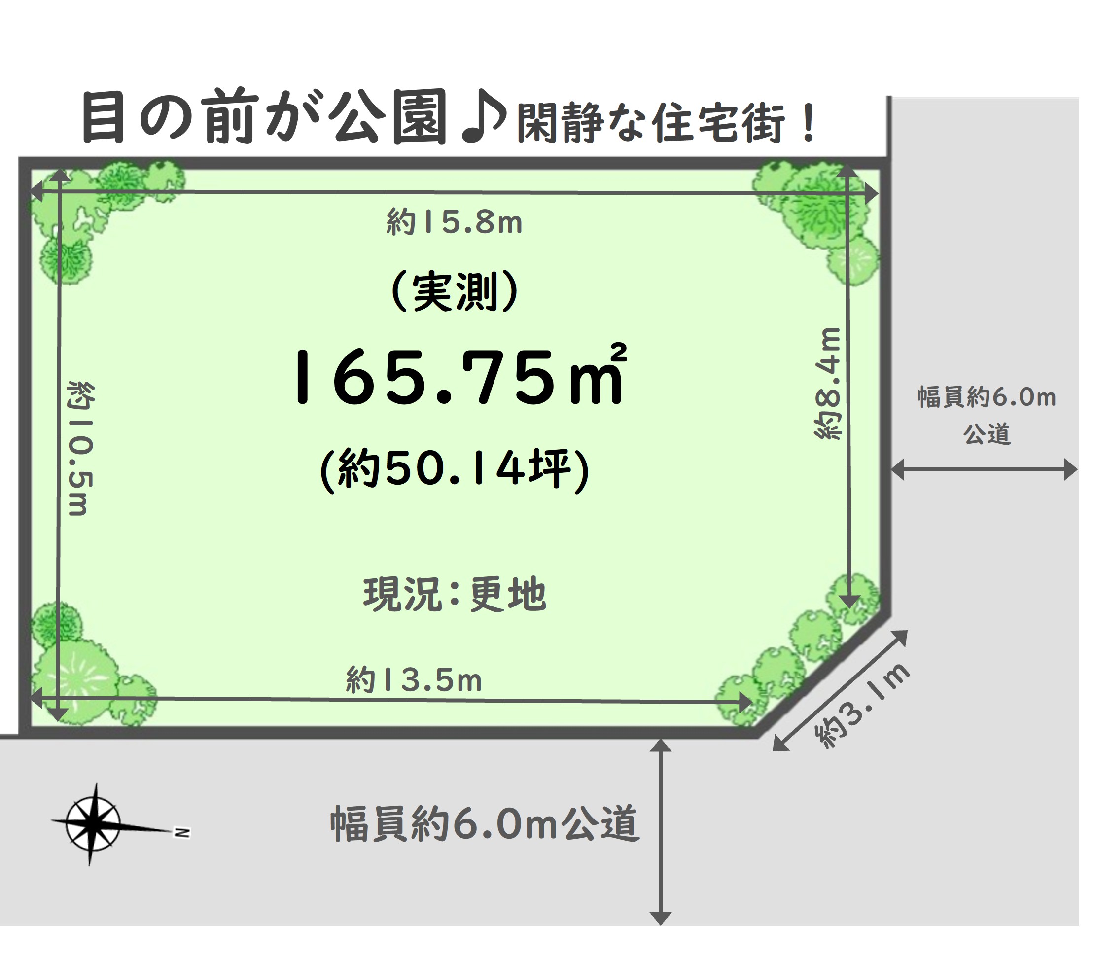 ■165.75㎡　約50.14坪